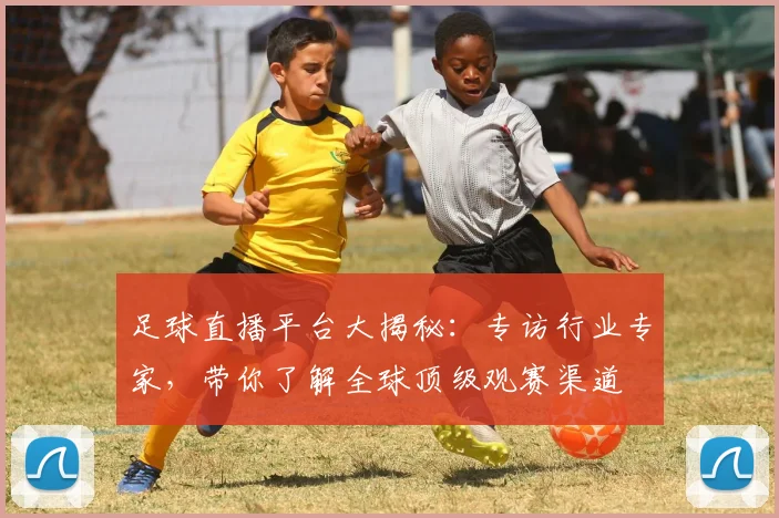 足球直播平台大揭秘：专访行业专家，带你了解全球顶级观赛渠道