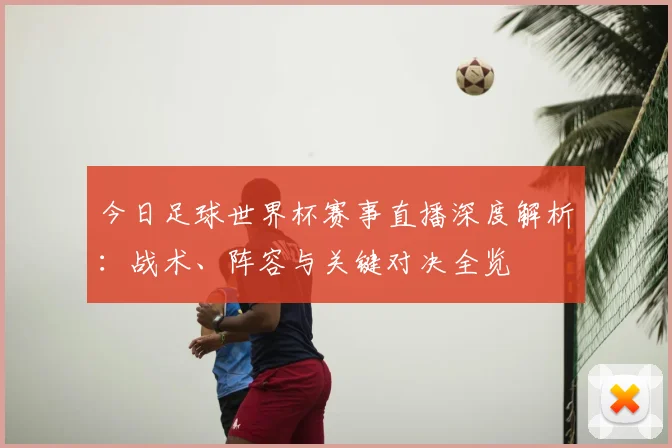 今日足球世界杯赛事直播深度解析：战术、阵容与关键对决全览
